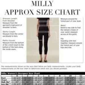 milly of new york size chart